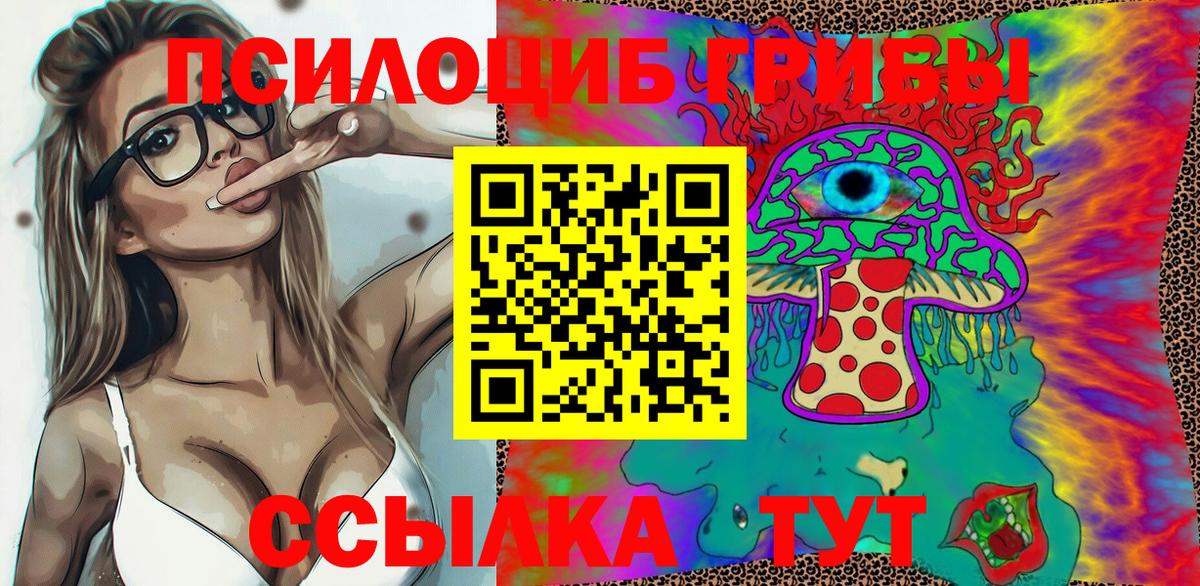 закладки  Галлюциногенные грибы Cubensis  Вход с VPN  Калининград 