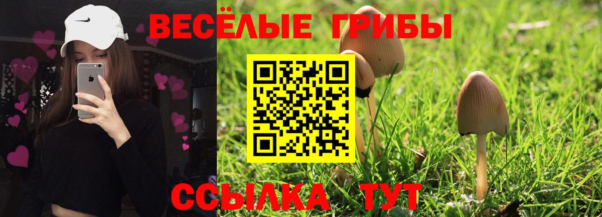 Галлюциногенные грибы Magic Shrooms Калининград
